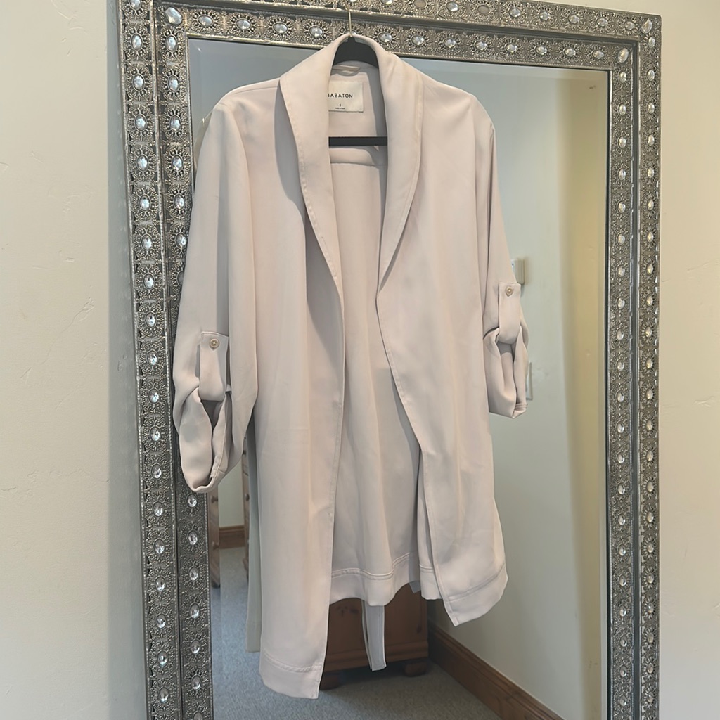 Aritzia Duster